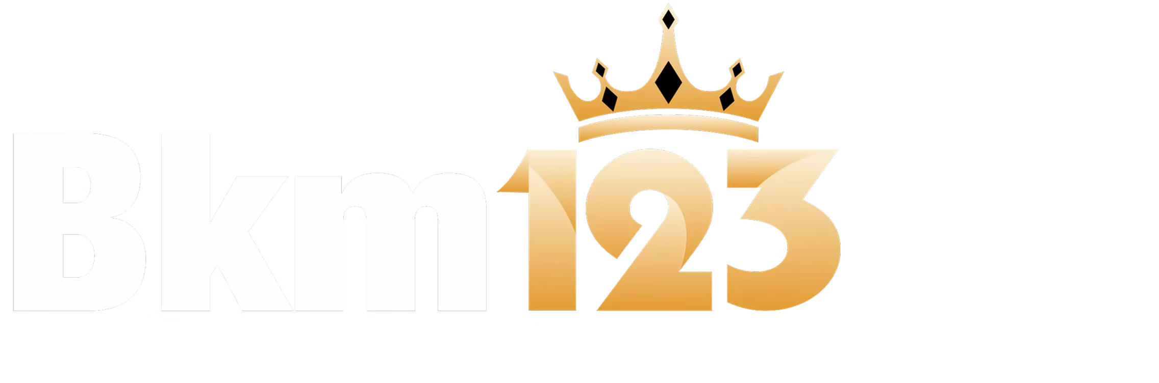 logo bkm123